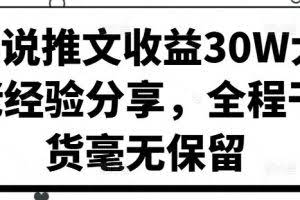 小说推文收益30W大佬经验分享，全程干货毫无保留