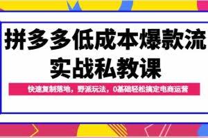 拼多多低成本爆款流实战私教课，快速复制落地，野派玩法，0基础轻松搞定电商运营