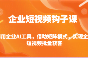 企业短视频钩子课-利用企业AI工具，借助矩阵模式，实现企业短视频批量获客