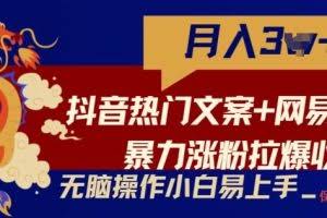 抖音热门文案+网易云截图暴力涨粉拉爆收益玩法，小白无脑操作，简单易上手【揭秘】