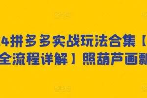 2024拼多多实战玩法合集【0-1全流程详解】照葫芦画瓢