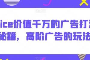 Alice价值千万的广告打法秘籍，高阶广告的玩法