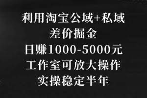 利用淘宝公域+私域差价掘金，日赚1000-5000元，工作室可放大操作，实操稳定半年【揭秘】