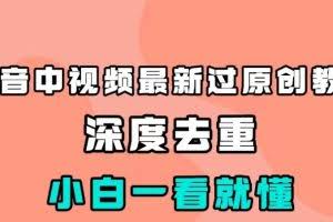 抖音中视频最新过原创教程，深度去重，小白一看就懂【揭秘】