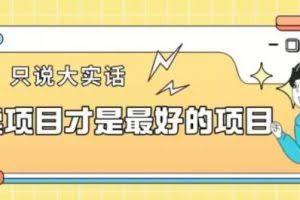 卖项目才是最好的项目一单3000+【揭秘】