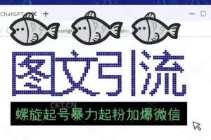 2023年价值1980的图文引流创业粉螺旋起好技术暴力起粉加爆微信
