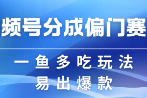 视频号创作者分成计划偏门类目，容易爆流，实拍内容简单易做