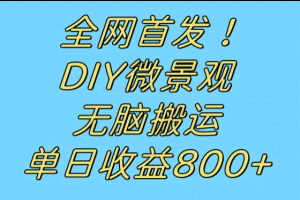 全网首发冷门赛道！DIY微景观，无脑搬运视频，日收益800+