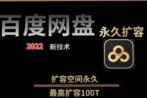 百度网盘无限扩容技术，外面卖399的，无论自己用还是用做引流都可以