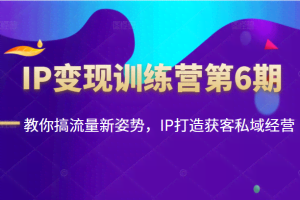 IP变现训练营第6期：教你搞流量新姿势，IP打造获客私域经营