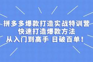 拼多多爆款打造实战特训营：快速打造爆款方法，从入门到高手 日破百单