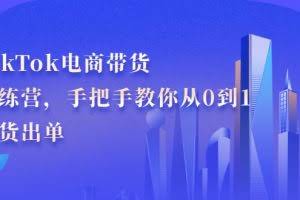 TikTok电商带货训练营，手把手教你从0到1带货出单（无水印）