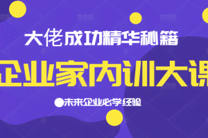 企业家内训大课，大佬成功精华秘籍首次揭秘，未来企业必学经验，价值1299元