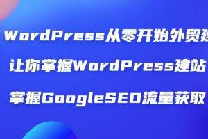 WordPress从零开始外贸建站：让你掌握WordPress建站 掌握GoogleSEO流量获取