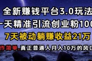 全新赚钱平台3.0玩法一天精准引流创业粉1000.7天被动躺Z收益21W【仅揭秘】
