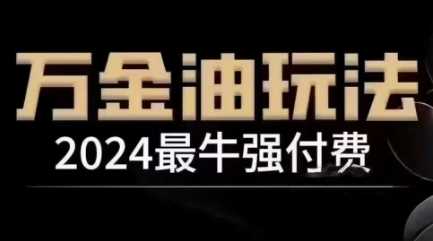 2024最牛强付费,万金油强付费玩法,干货满满,全程实操起飞(更新12月)