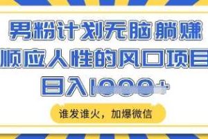 男粉计划无脑躺Z，顺应人性的风口项目，谁发谁火，加爆微信，日入多张【揭秘】