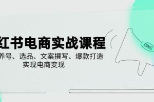 小红书电商实战课程，详解养号、选品、文案撰写、爆款打造，实现电商变现