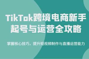 TikTok跨境电商新手起号与运营全攻略，掌握核心技巧，提升短视频制作与直播运营能力