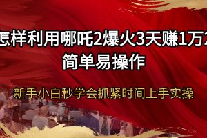 （14245期）怎样利用哪吒2爆火3天赚1万2简单易操作新手小白秒学会抓紧时间上手实操
