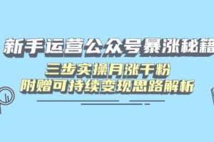 （14111期）新手运营公众号暴涨秘籍，三步实操月涨千粉，附赠可持续变现思路解析