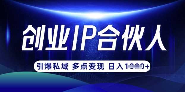 云帆·创业ip合伙人打造3.0,从0到1教你做网创,实现月入过W