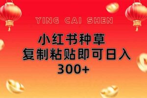 （14350期）小红书种草无脑操作复制粘贴即可日入300+