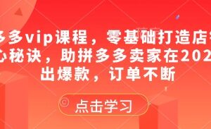 拼多多vip课程，零基础打造店铺的核心秘诀，助拼多多卖家在2025卖出爆款，订单不断