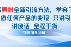 小红书男粉引流 学会了这个变现很容易，不讲废话全程针对男人的打法 全程干货