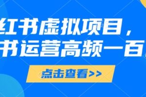 小红书虚拟项目，小红书运营高频一百问【文档】
