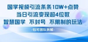 国学视频引流条条10W+点赞当日引流变现超4位数