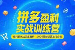 拼多多盈利实战训练营，强付费玩法深度解析，2025最新运营技巧合集