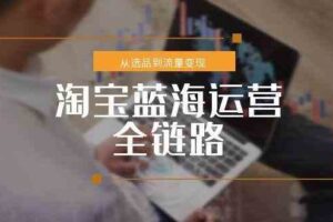 淘宝蓝海运营全链路，从选品到流量变现，小类目突围完整方案