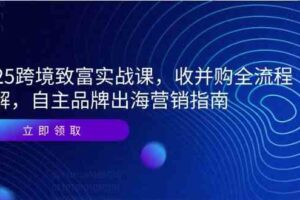 2025跨境致富实战课，收并购全流程拆解，自主品牌出海营销指南