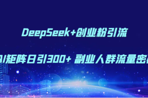DeepSeek+创业粉引流 AI矩阵日引300+ 副业人群流量密码