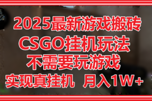 2025最新游戏搬砖，CSGO挂机，不需要玩游戏，实现真挂机，月入1W+