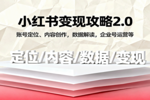 小红书变现攻略2.0：账号定位、内容创作，数据解读，企业号运营等