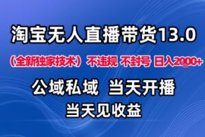 淘宝无人直播13.0，公域私域技术，不封号，不违规布局下半年旺季赛道，日入1K+（独家技术）【揭秘】
