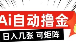 AI自动撸金，日入几张，全自动不占用时间，可矩阵批量放大操作【揭秘】