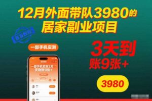 12月外面带队3980的居家副业项目,一部手机实测3天到账9张+,首发教程【揭秘】