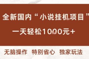 全新国内小说挂G项目,多窗口无脑跑,一天轻松1k+,特别省心【揭秘】