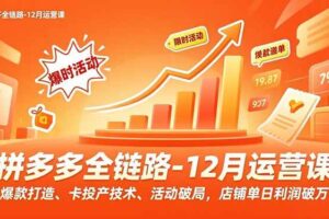 (16884期)拼多多全链路-12月运营课,爆款打造、卡投产技术、活动破局,店铺单日利润破万