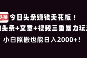 （16888期）今日头条赚钱天花板！微头条+文章+视频三重暴利玩法，小白照搬也能日人2000+
