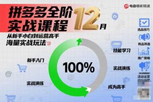 拼多多全阶实战课程12月，从新手小白到运营高手，海量实战玩法