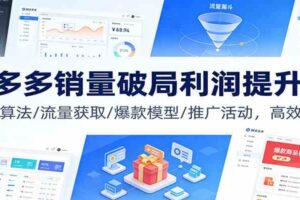 拼多多销量破局利润提升课:权重算法/流量获取/爆款模型/推广活动,高效盈利