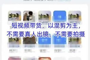 宝子哥头部团队短视频带货，以混剪为主，不需要真人出镜，不需要拍摄【更新12月】