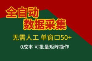全自动数据采集，无需人工，单窗口50+，0成本可批量矩阵操作【揭秘】