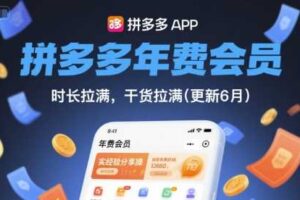 拼多多年费会员，实经验分享操，时长拉满，干货拉满(更新26年1月)